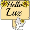 Hello Name Cat 1 16