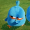 angry birds 22
