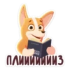 bublik_dog 17