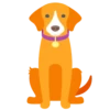 Animals 17