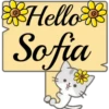 Hello Name Cat 1 17