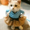 Stooped Cats 22