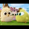 angry birds 23