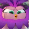 angry birds 24