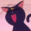 Sailor moon 20