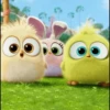 angry birds 26