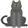 Animals 18