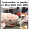 miau 9