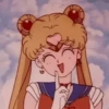 Sailor moon 23
