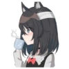 Black cat Eve 24