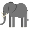 Animals 19