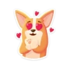 bublik_dog 21