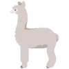 Animals 20