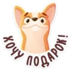 bublik_dog 22