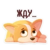 bublik_dog 24