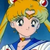 Sailor moon 29