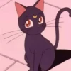 Sailor moon 30