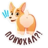 bublik_dog 28
