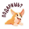 bublik_dog 29