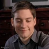 Spiderman Tobey Maguire 30