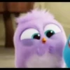 Angry Birds 5