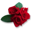Flowers 8