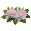 Flowers 9