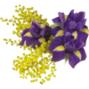Flowers 10