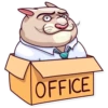 Big Boss Cat 6