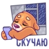 bear_ok 7
