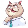 Big Boss Cat 7
