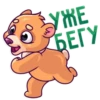 bear_ok 8