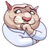 Big Boss Cat 10