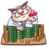 Big Boss Cat 11