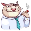 Big Boss Cat 12