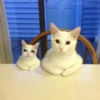 Sad Cats 9