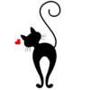 Black Love Cat 5