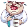 Big Boss Cat 14