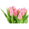 Flowers 14