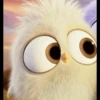Angry Birds 11
