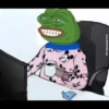 The Frog pack 13