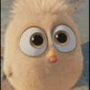 Angry Birds 13