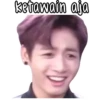 BTS derp 14