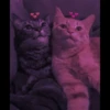 MEOW MEOW 13