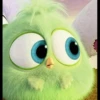 Angry Birds 14