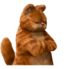 Garfield 16