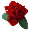 Flowers 15
