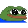 The Frog pack 16