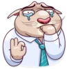 Big Boss Cat 17