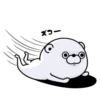 Bear100% 19